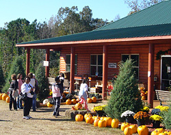 Be sure to visit our Halloween and Christmas store at Motley's Pumpkin Patch and Christmas Trees, Little Rock, Arkansas-Central Arkansas' Favorite Family Outing